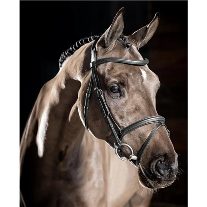 LeMieux Arika Flash Bridle Black/Silver-1